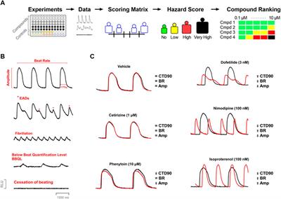 Identifying Acute Cardiac Hazard in Early Drug Discovery Using a Calcium Transient High-Throughput Assay in Human-Induced Pluripotent Stem Cell-Derived Cardiomyocytes